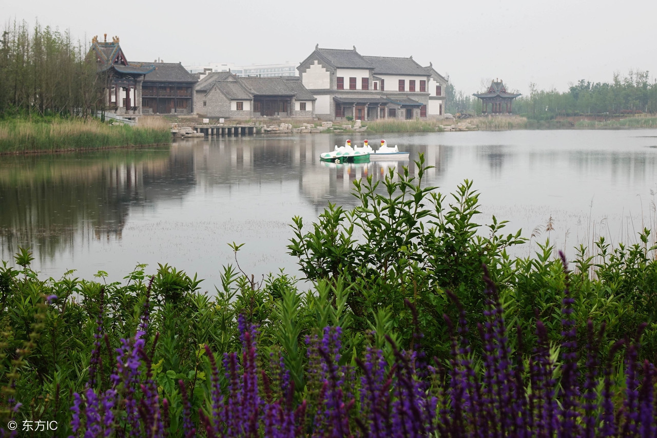饮湖上初晴后雨二首其二,饮湖上初晴后雨二首其二讲解