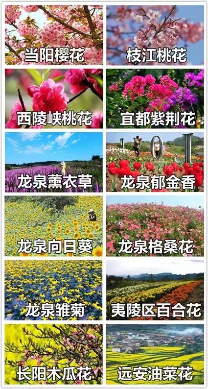 为什么2018年还要留在宜昌？这是我所有的理由！