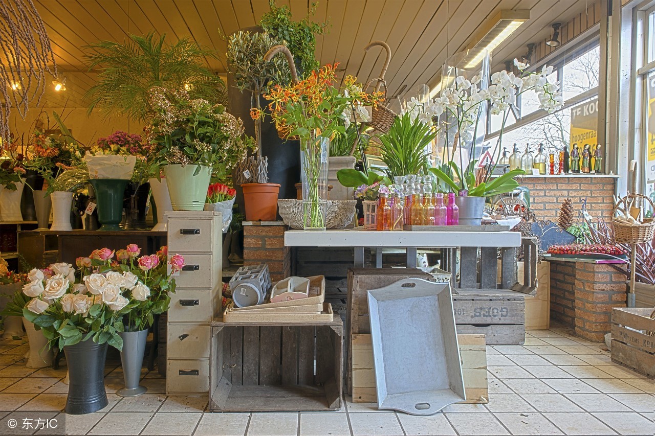 给开花店新手的建议,开花店前期需要做什么样的准备呢