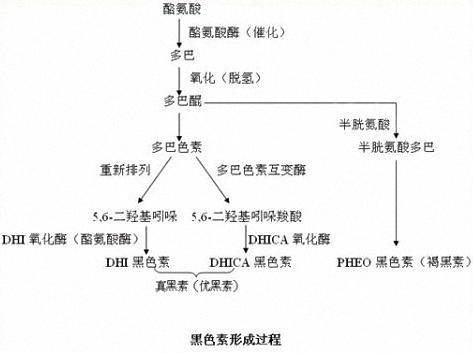 丰唇成香肠嘴视频,丰唇后像鸟嘴