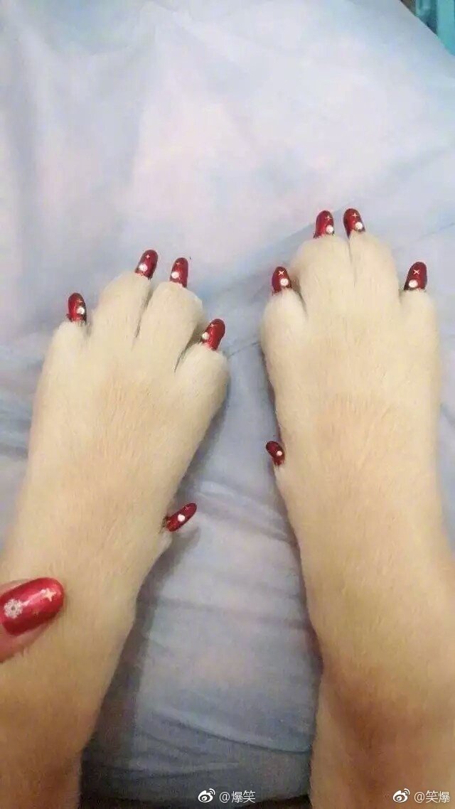 貂皮大衣2980,貂皮大衣5050