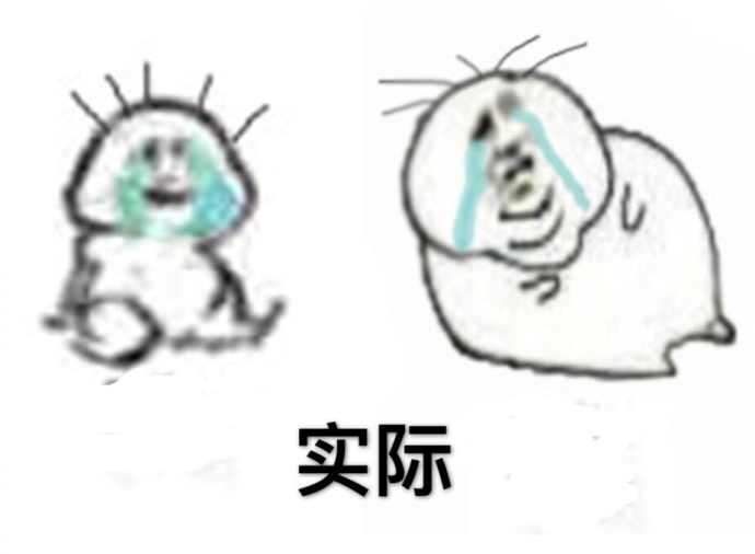 貂皮大衣2980,貂皮大衣5050