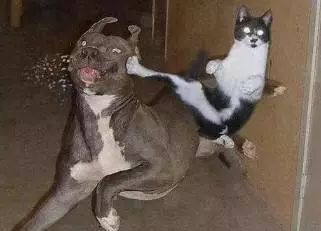 广东人都不会写的粤语字,粤语会说不会写的315个字