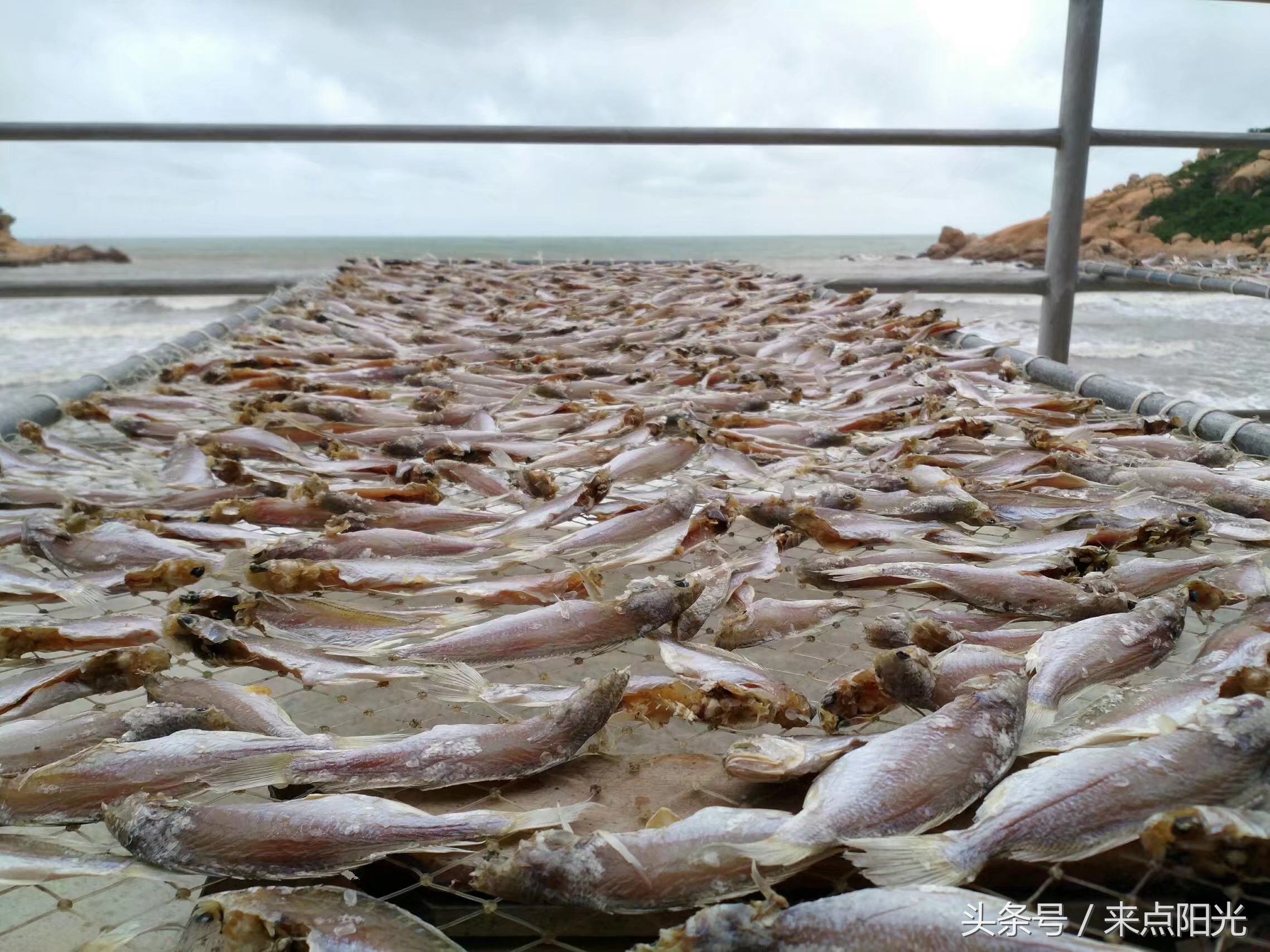 世界很大我很小完整版,江门台山浪琴湾基地