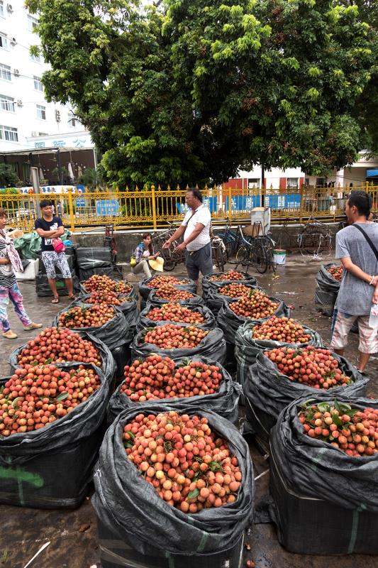 云南赶街场面描写,云南赶街赶集视频