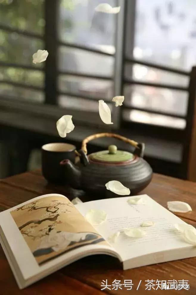 闻香识茶以茶会友,闻香识得茶滋味