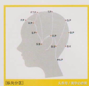 美发头部分区图,理发时头部分区名称