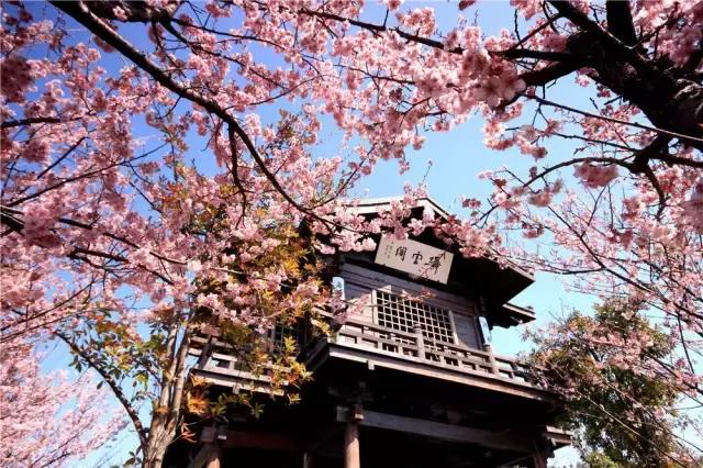 湖州这个季节去哪玩,湖州三月份适合去哪旅游