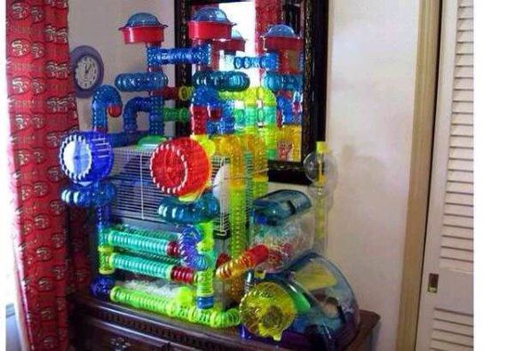 仓鼠虚弱嘴巴油怎么办,仓鼠伪冬眠后咬我怎么办