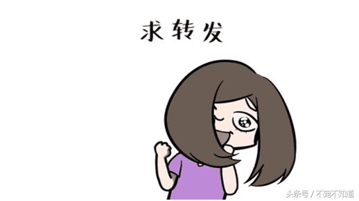 宠物疝气图片,宠物疝气分类