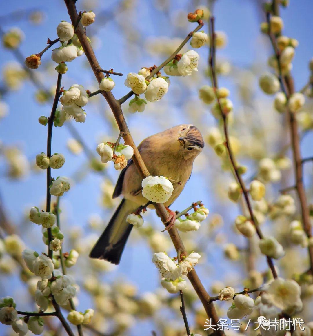 美丽中国摄影片段,38集美丽中国