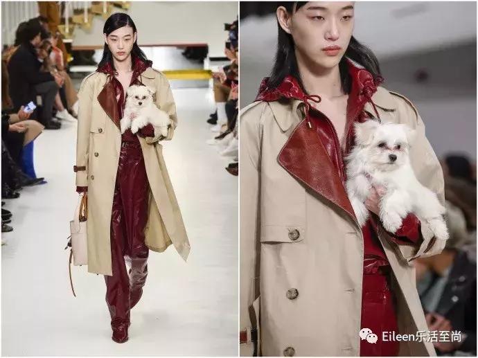 刘雯和热巴视频,刘雯热巴