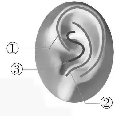 助眠操5分钟入睡居家锻炼,10分钟快速睡眠操