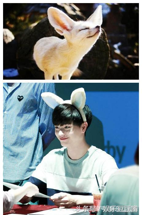 都暻秀和企鹅,都暻秀企鹅好可爱