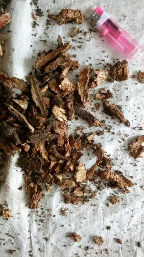 枸杞老根如何快速生根,怎样让枸杞老桩爆芽