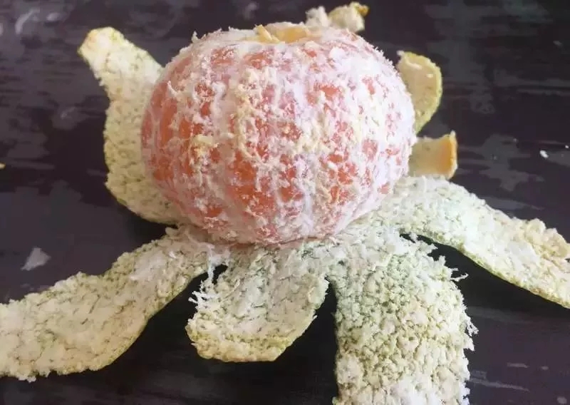 怎么让绿萝快速爬弯,怎么样才能让绿萝长的快又爬墙