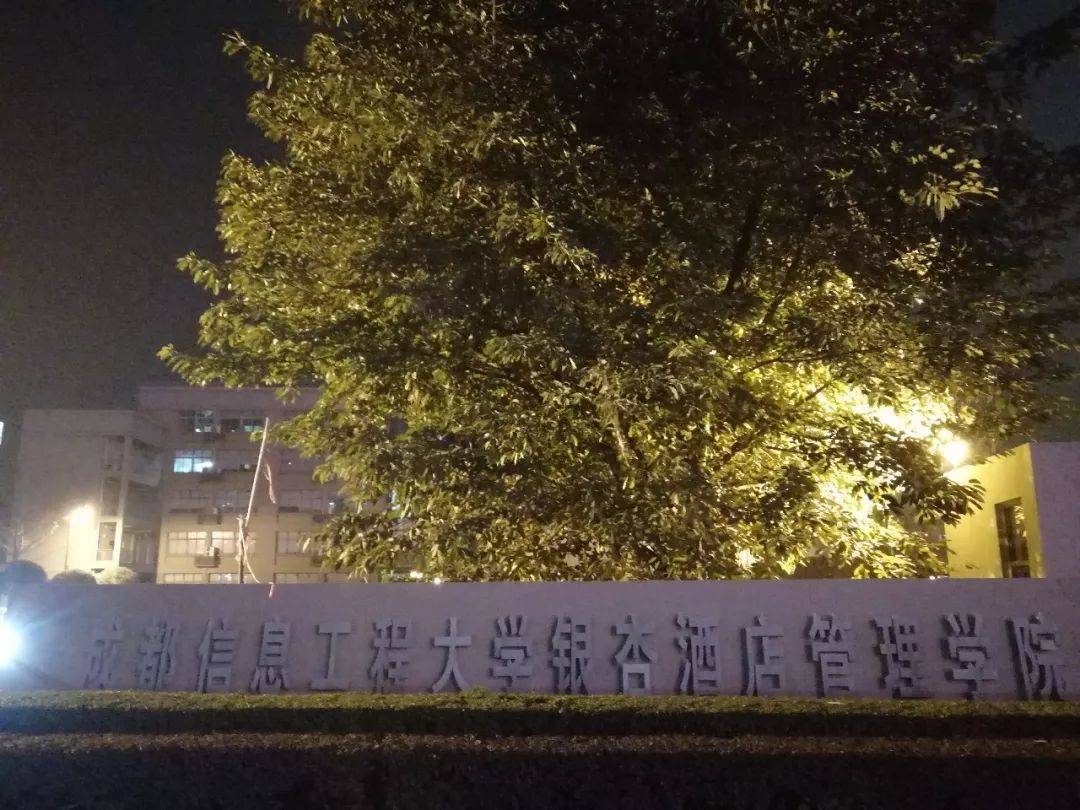 体育馆灯具,体育馆照明设计案例