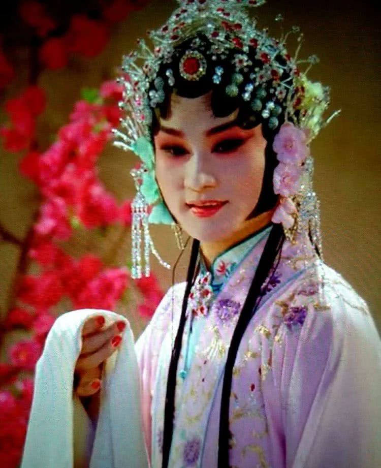 做足了功课养多肉,不用操心就能养好的多肉