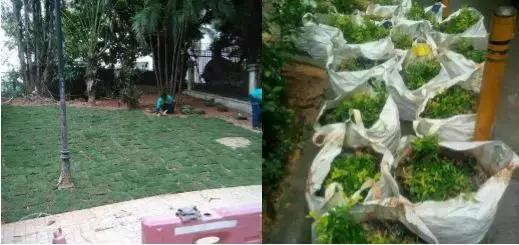 我们的小区实际情况,我的小区我做主代表物业发言