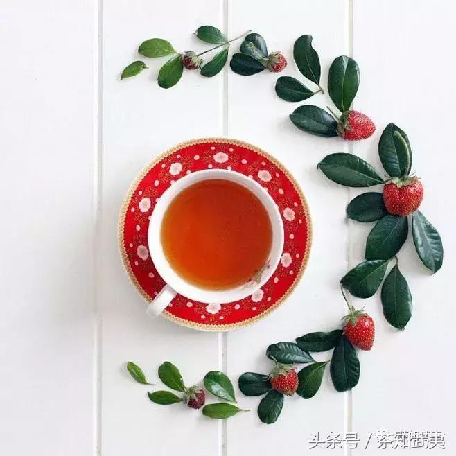 闻香识茶以茶会友,闻香识得茶滋味