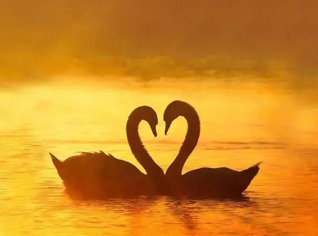 理科生浪漫起来是什么样子 (理科生真的不懂浪漫吗)