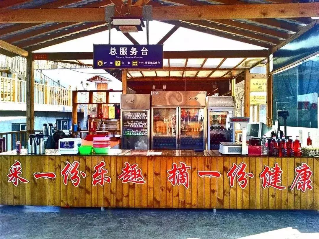 鹿泉旅游发展大会,石家庄2024年旅游发展大会