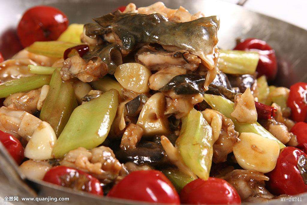 养牛蛙最新规定现在牛蛙行情,现在养殖牛蛙行情怎样