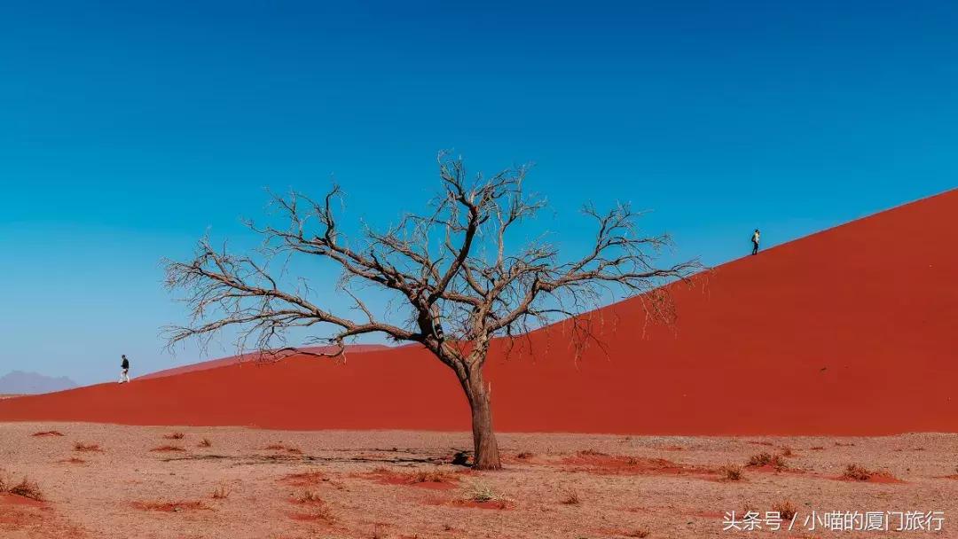 最值得去的52个旅行地,80个最值得一去的旅游胜地