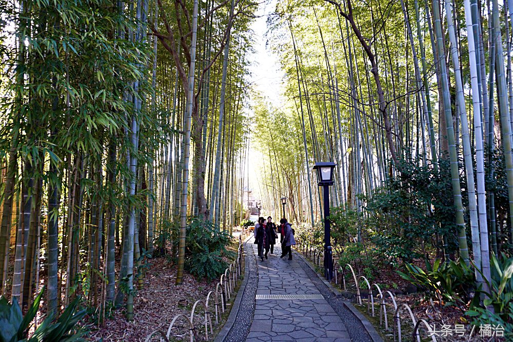 去日本富士山最便捷的交通,富士山箱根周游券攻略