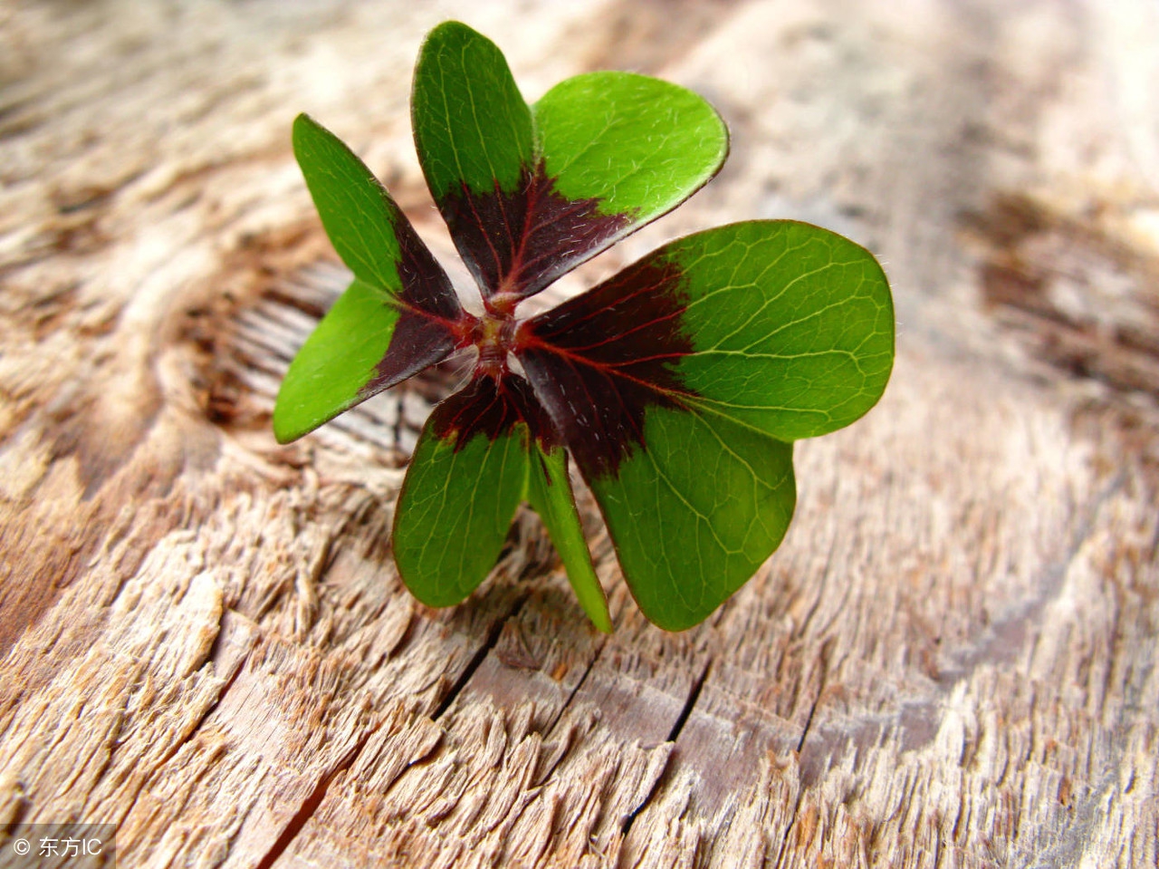 学习烧开水定律,烧开水教程