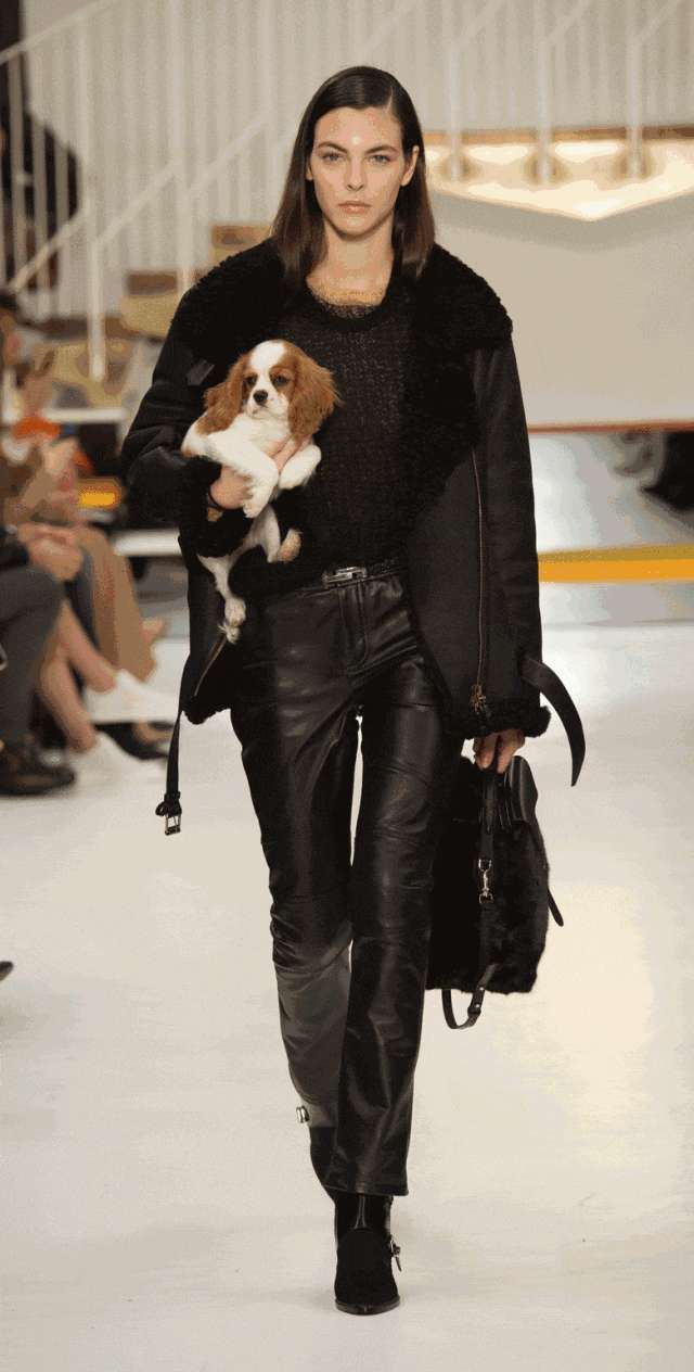 抱着狗狗走秀,抱着狗狗模特走秀视频