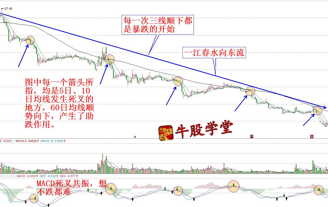 牛股学堂在线观看,牛股学书籍