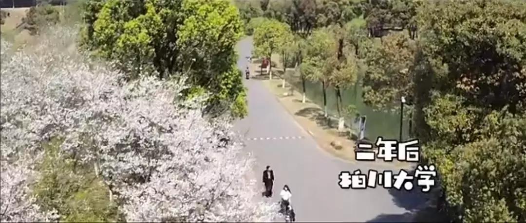 单恋大作战孔垂楠结婚,孔垂楠刘美含单恋大作战