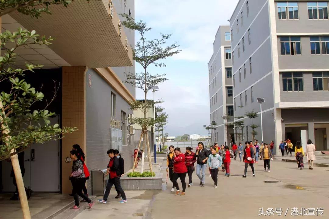 昔日打工妹今引“金凤凰”