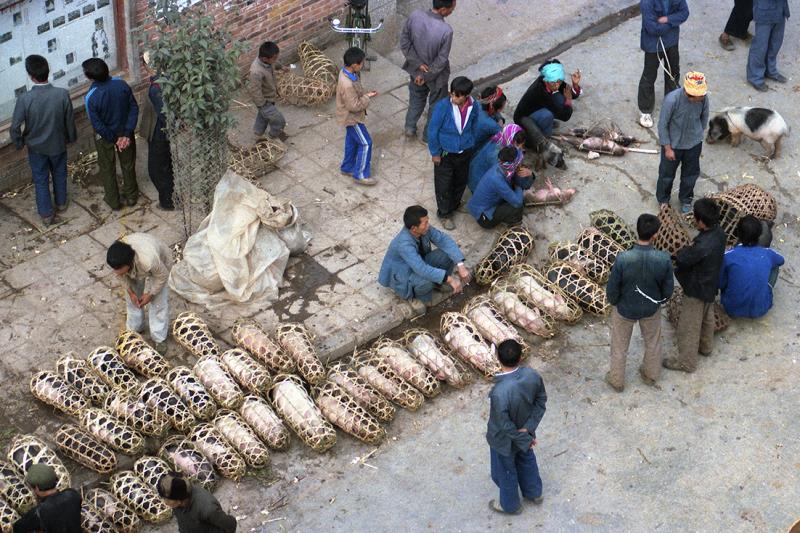 云南赶街场面描写,云南赶街赶集视频