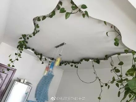 装修简单也是一种美,有一种装修叫爸妈的审美