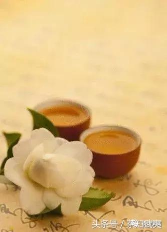 闻香识茶以茶会友,闻香识得茶滋味