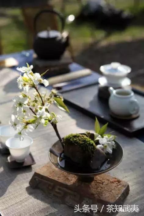 闻香识茶以茶会友,闻香识得茶滋味