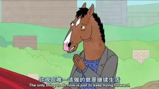 养蛙的成功经历,养蛙的感受和体验