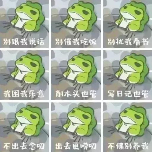 养蛙的成功经历,养蛙的感受和体验