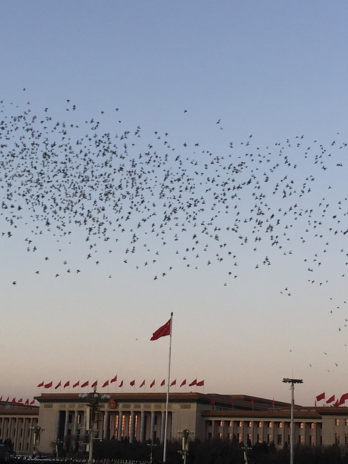 冬天去哪里旅游暖和特色美食,冬季游玩攻略美食推荐