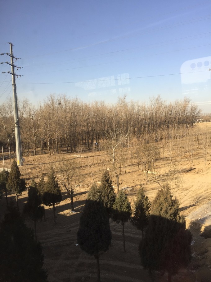 冬天去哪里旅游暖和特色美食,冬季游玩攻略美食推荐