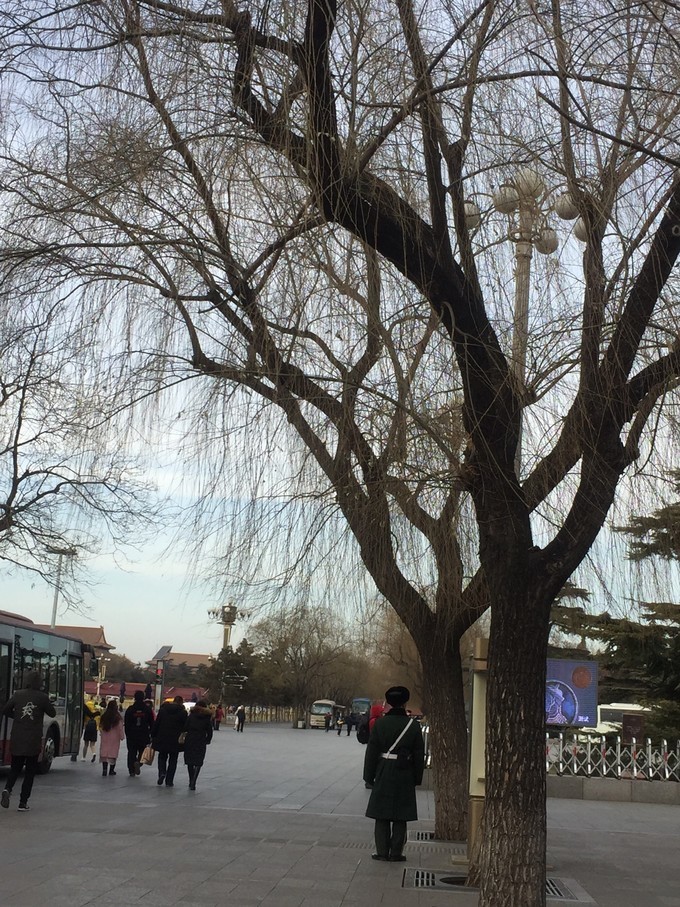 冬天去哪里旅游暖和特色美食,冬季游玩攻略美食推荐