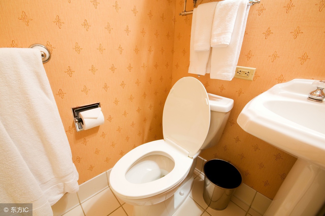 职业伺候中国屁股，22年只为做好一件事，把马桶盖卖到了日本