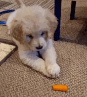 这件金融大事被低估！中信银行用行动“证明”不看好北京房价