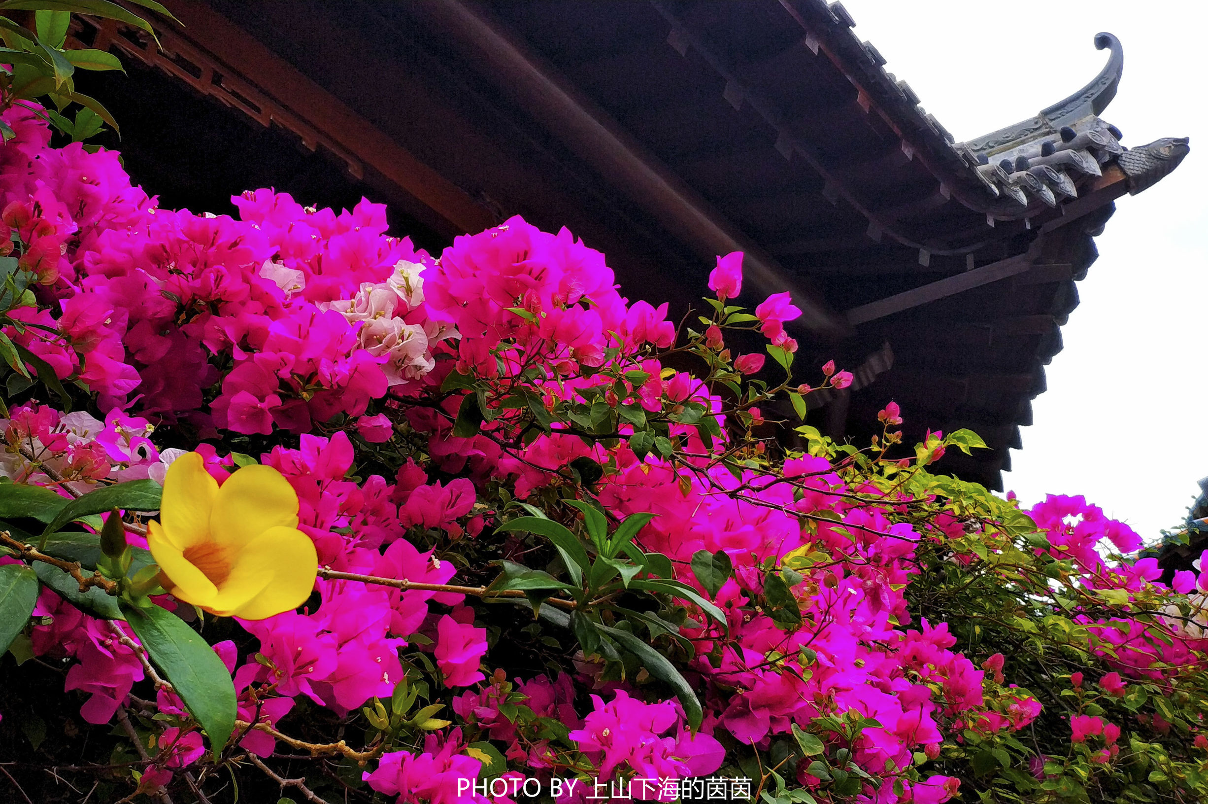 三亚亚龙湾华宇度假酒店测评,三亚酒店测评君悦