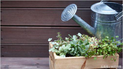 早安武汉|今日外出赏花灯记得携带雨具