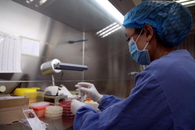 蜂王人工授精成功率高的技巧,蜂王人工授精教程