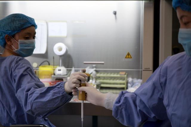 蜂王人工授精成功率高的技巧,蜂王人工授精教程