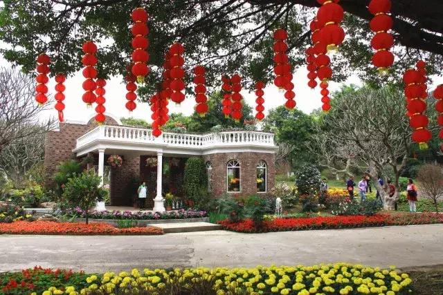 还没看的景点,大夫山最美景色